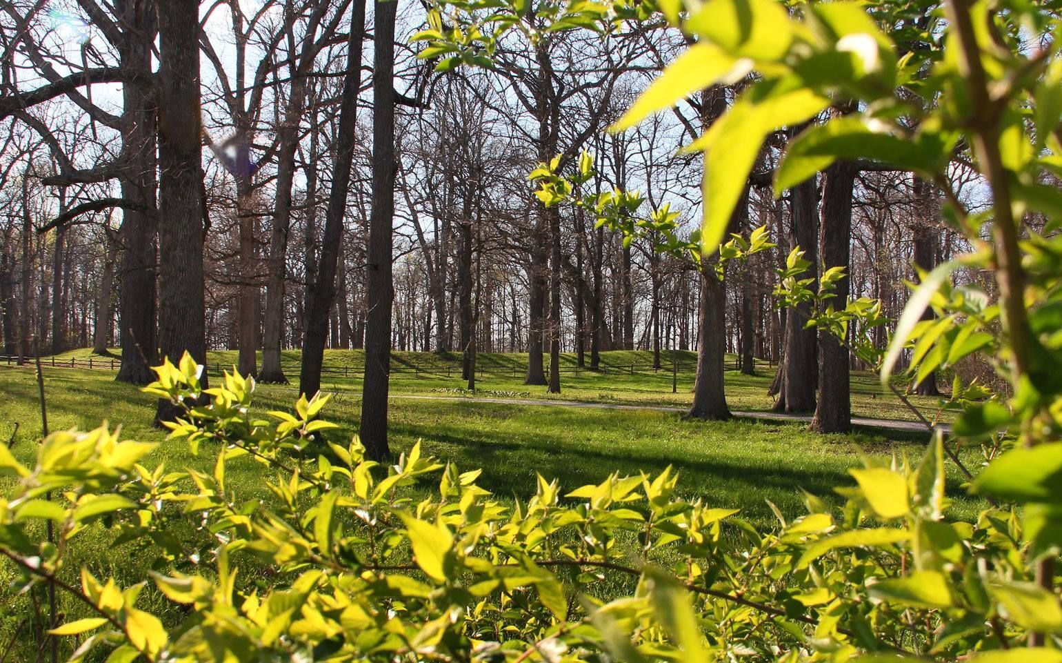 Mounds State Park